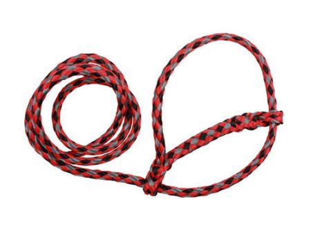 Poly Sheep Soft Braid Halter Red Black Gray (Red Echo) 1 Count by Sullivan Supply, Inc. Discount