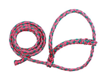 Poly Sheep Soft Braid Halter Pink Green Gray (Watermelon Twist) 1 Count by Sullivan Supply, Inc. For Discount