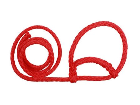 Poly Sheep Soft Braid Halter Red 1 Count by Sullivan Supply, Inc. Online Hot Sale