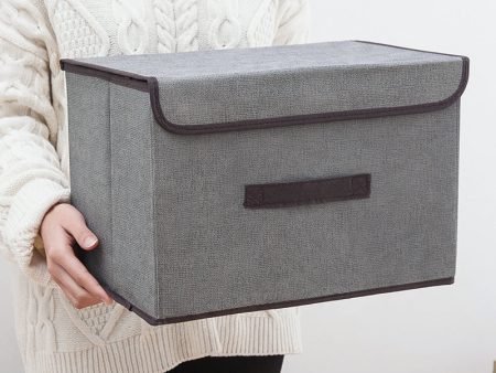 Foldable Storage Box with Lid For Cheap