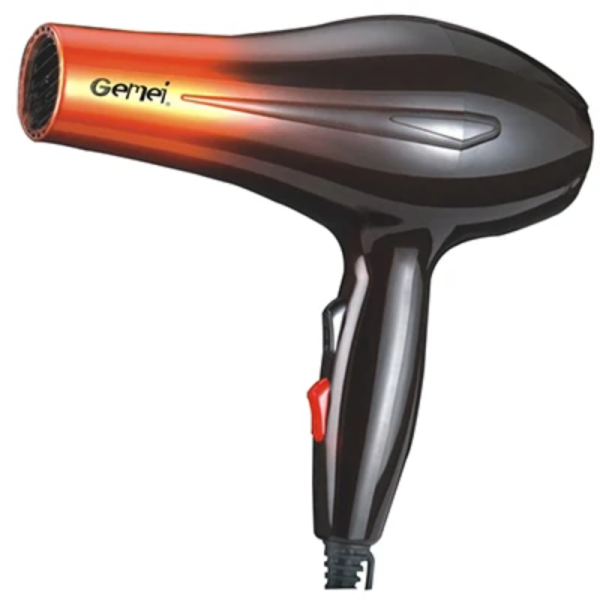 Gemei Professional Hair Dryer GM1719 Hot on Sale